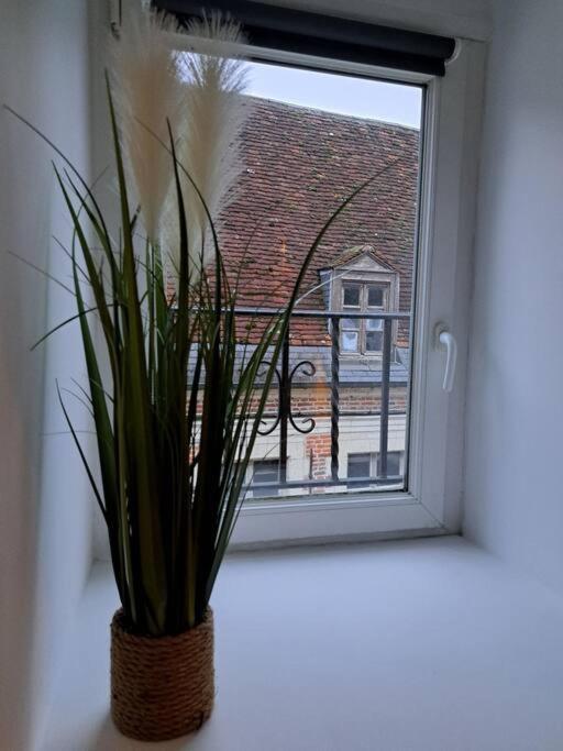 Confortable Studio Renove Cambrai Exteriör bild